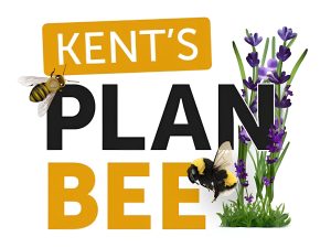 Kent's Plan Bee Image